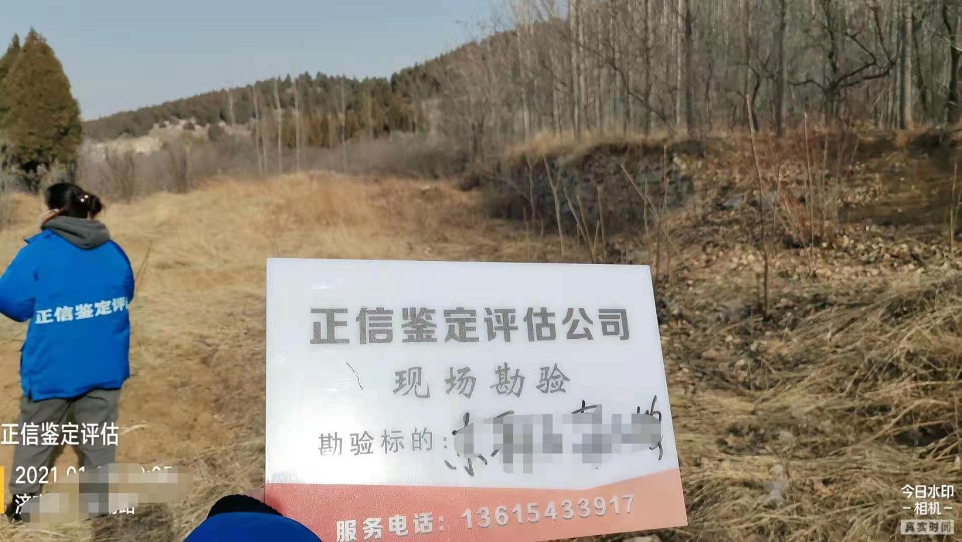 对涉案果树进行实地勘验