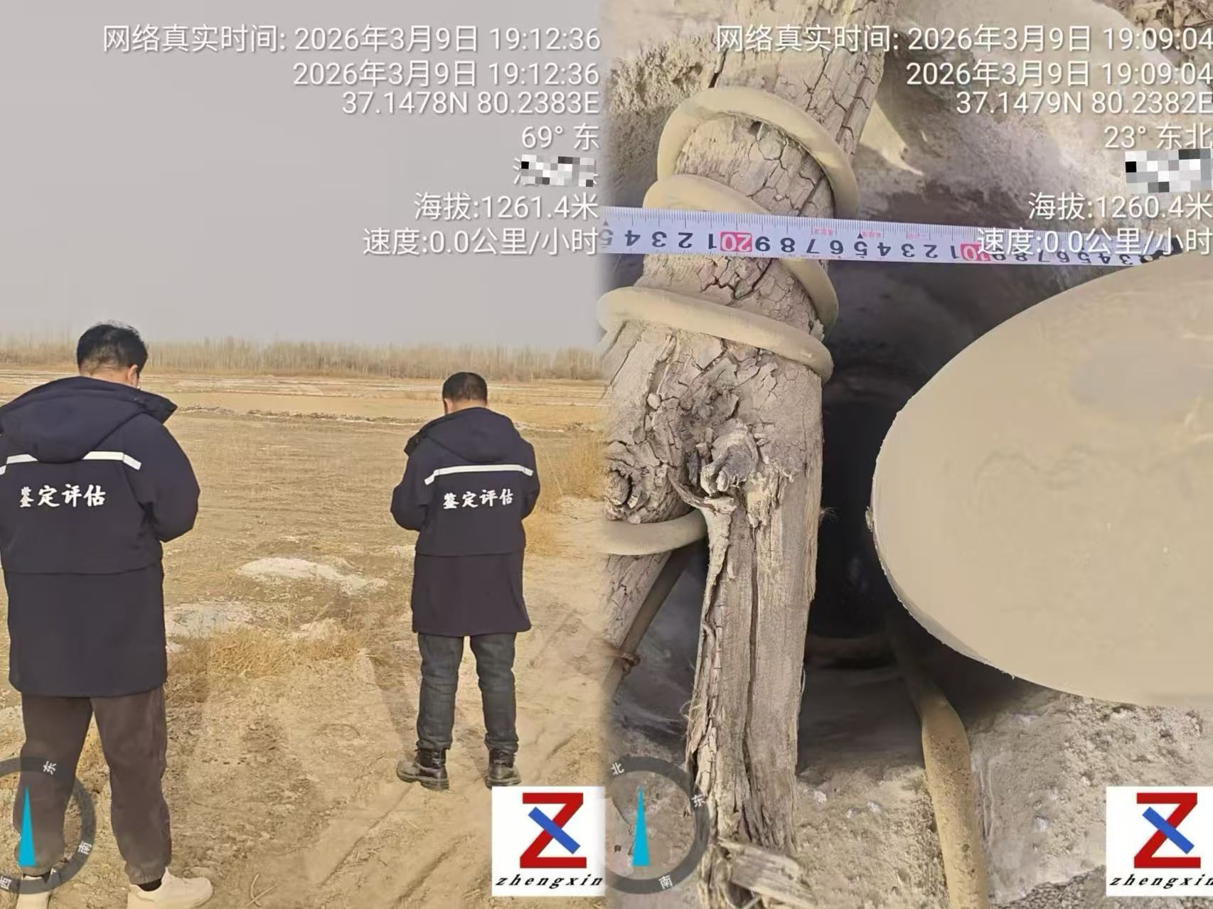 跨越山海，扎根棉田｜正信鉴定团队已抵达新疆，开启棉田受损专项鉴定工作