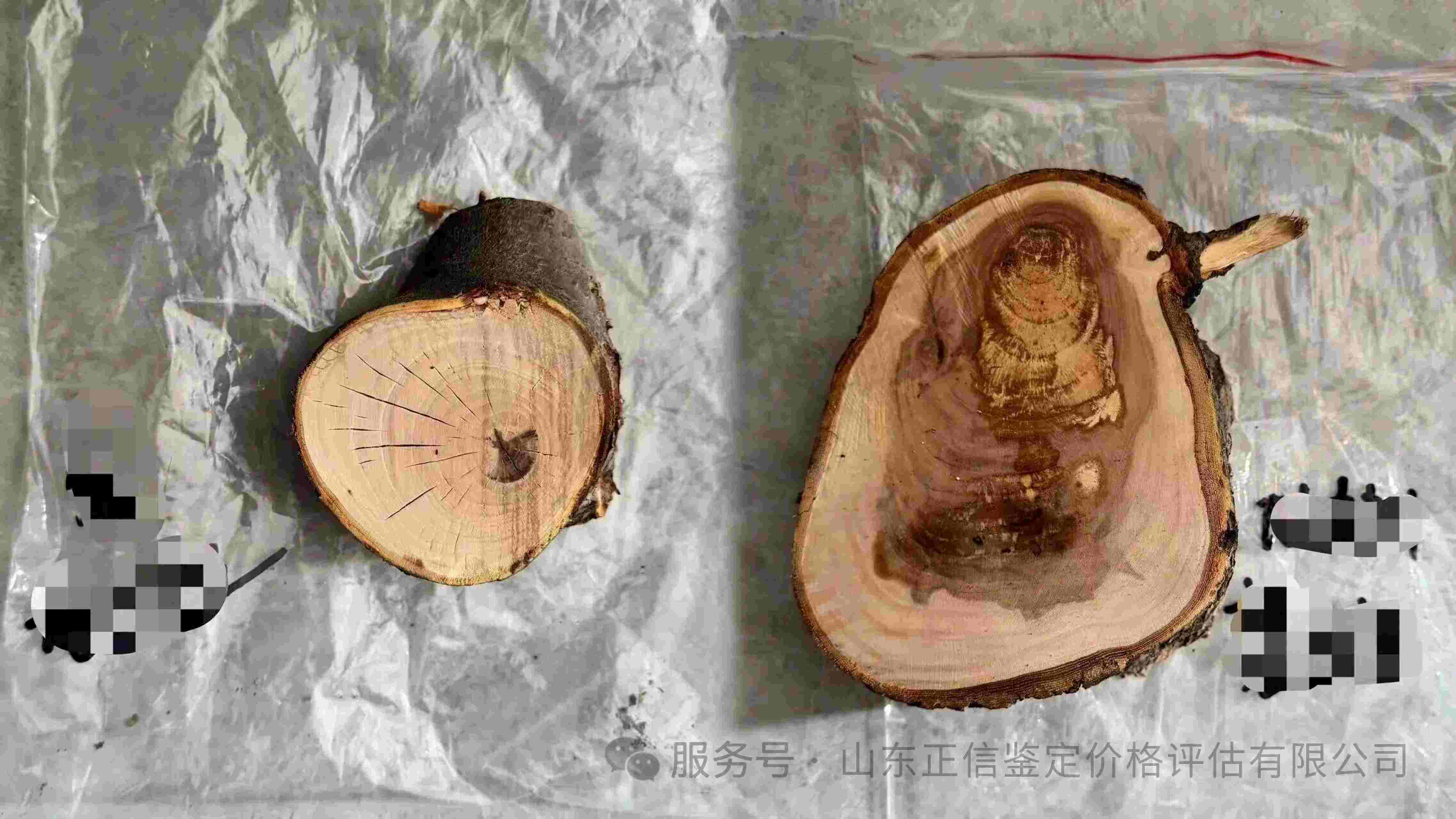 果树赔偿是按初果期、盛果期还是衰果期？