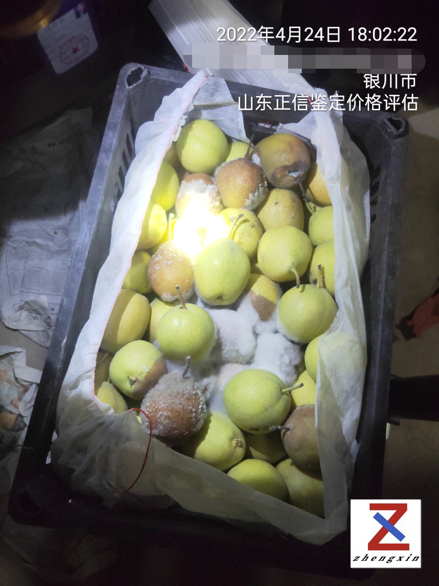勘验照片 (8).jpg