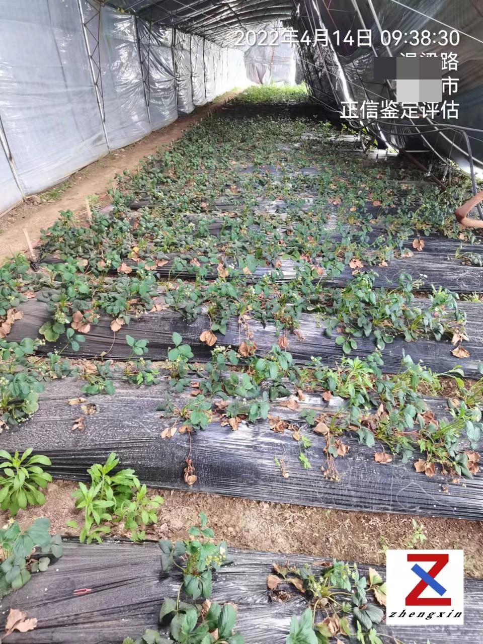 勘验照片1 (10).jpg