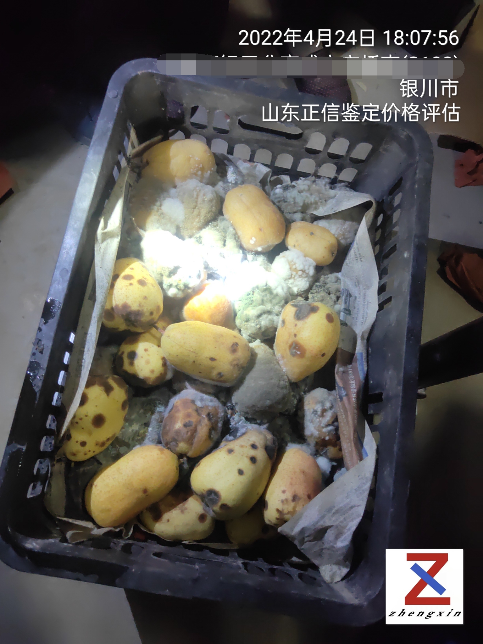 勘验照片 (10).jpg