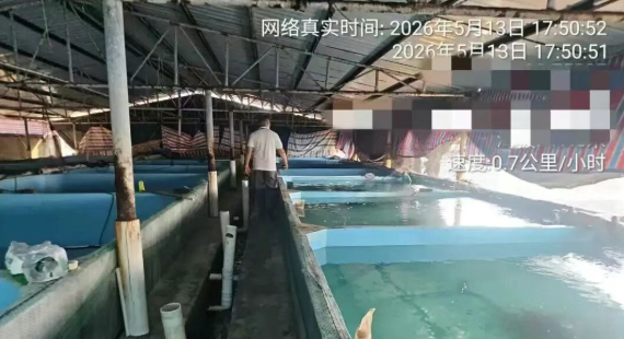 微信图片_20260605143156_85_9.png