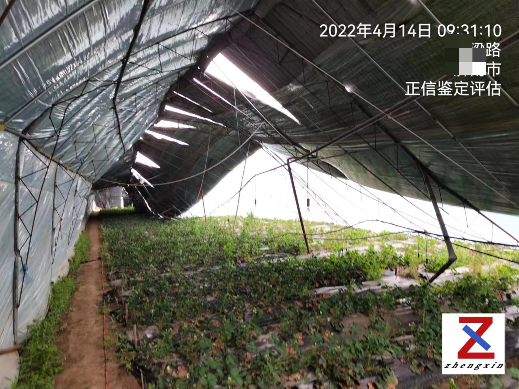 勘验照片1 (7).jpg