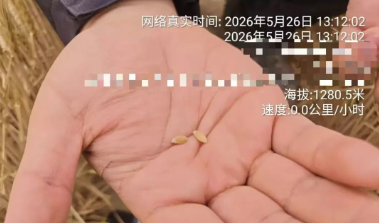 微信图片_20260615170447_120_9.png