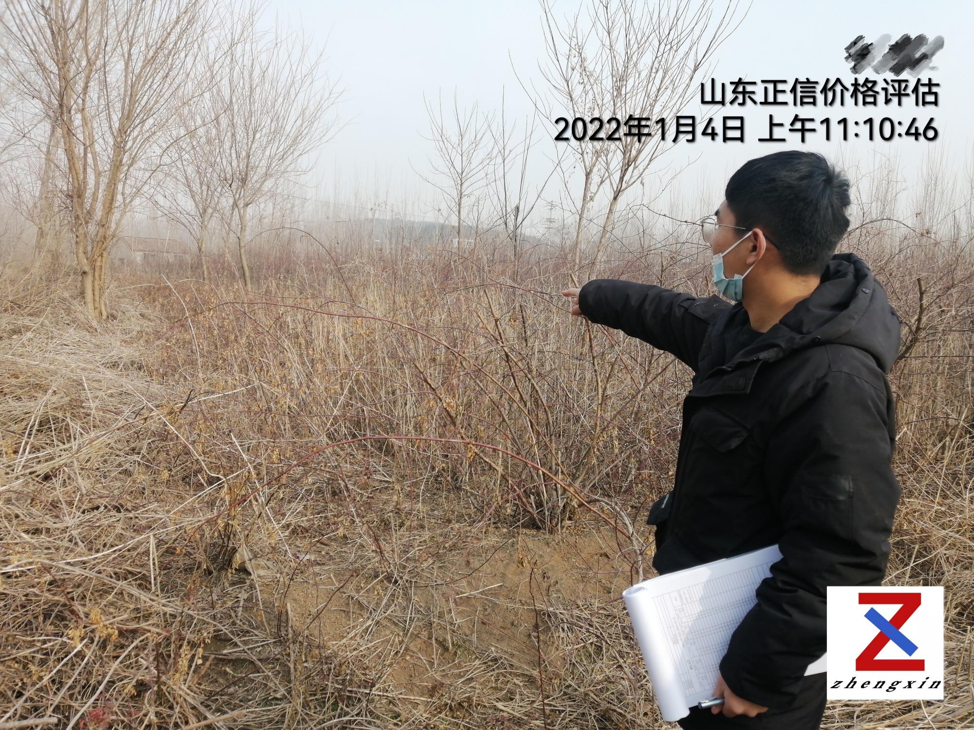 微信图片_202203111358078.jpg