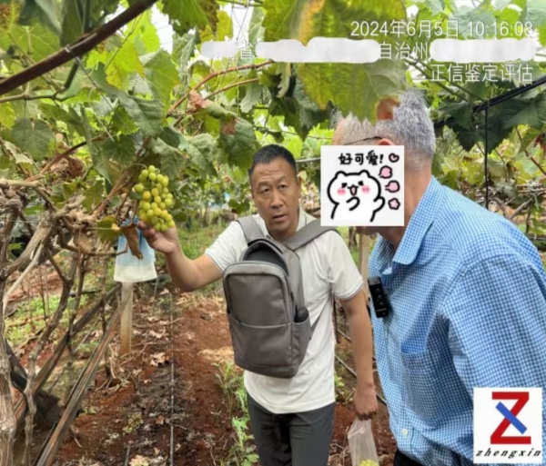 微信图片_20260518093611_582_1.jpg